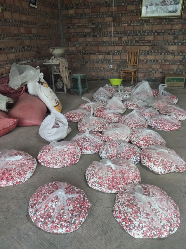 制作假藥的原材料。宜賓市公安局供圖