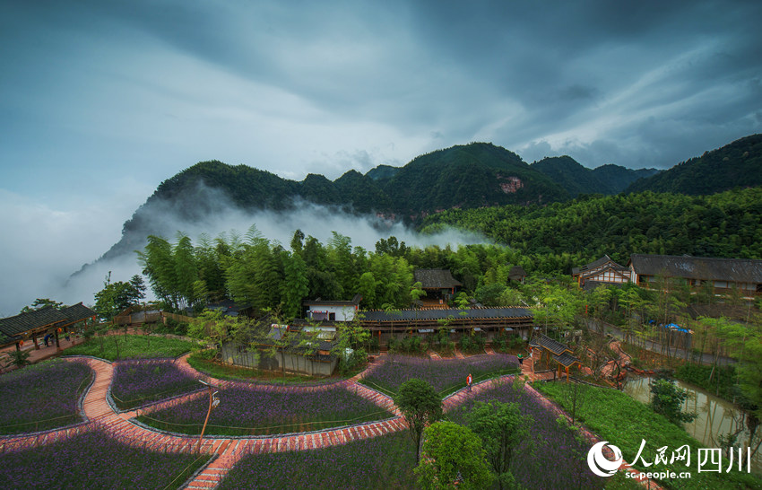 西溪風光。魏廷華攝