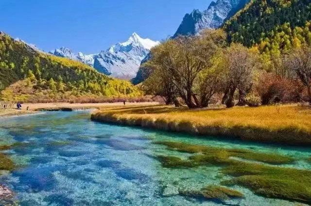 景區內清澈的湖水。稻城亞丁景區供圖