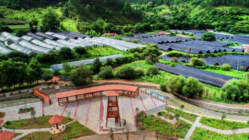 木里縣克爾鄉宣洼村名貴食（藥）用菌現代農業園區。木里縣委宣傳部供圖