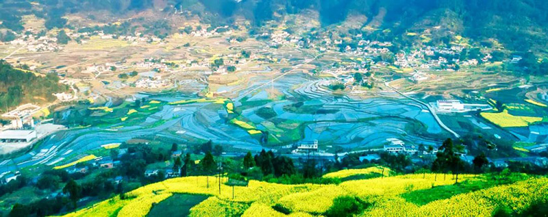 梯田美景。高縣縣委宣傳部供圖