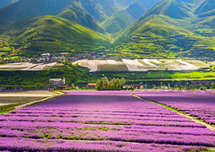 松潘縣上磨村：以悠久深厚的藏族文化資源為特色，著力發展濱河民宿、房車基地、賽馬場、薰衣草基地等特色業態。