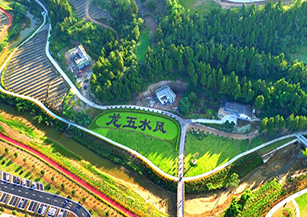 閬中市五龍村：緊鄰全國唯一的國家4A級傳統文化景區天宮院，開發了農事體驗、戶外拓展、騎游健身、民宿度假、特色餐飲等項目。