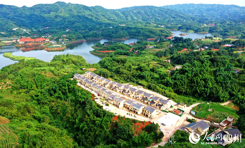 納溪區上馬鎮黃桷壩新村。 廖勝春攝