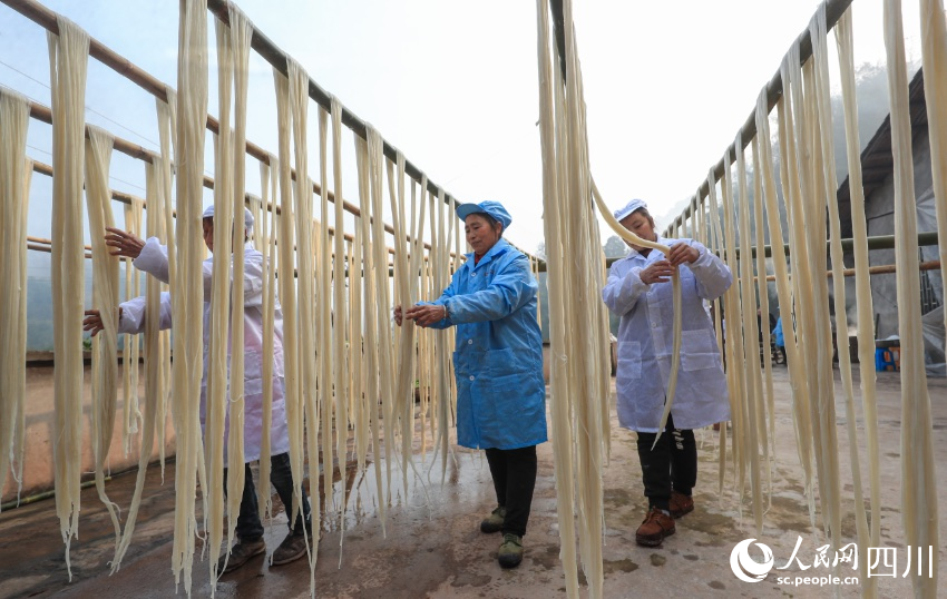 手工苕粉制作現場。劉學懿攝