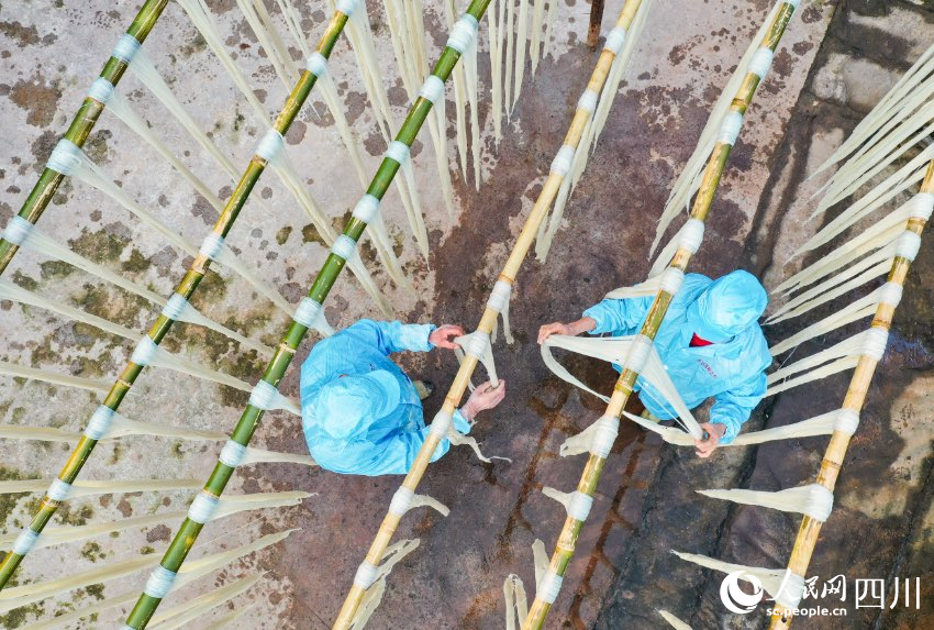 手工苕粉制作現場。劉學懿攝