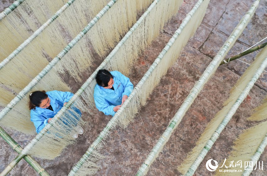 手工苕粉制作現場。劉學懿攝