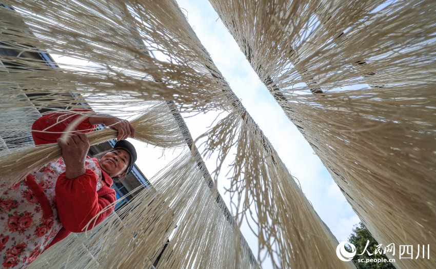 手工苕粉制作現場。劉學懿攝