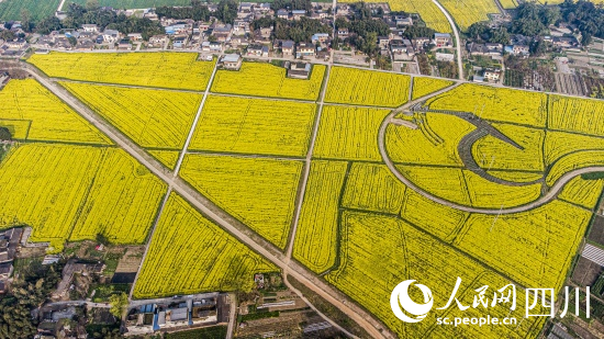 青竹街道王壩社區。帥志軍攝