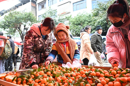 《靦腆》。李相芬摂