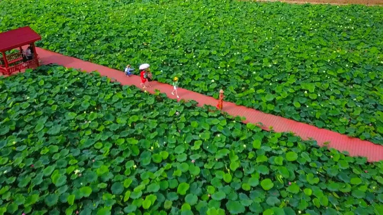 平樂旅游景區。昭化區融媒體中心供圖