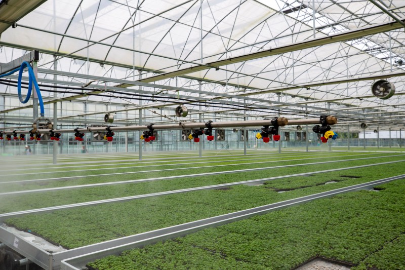 科技賦能鄉村。