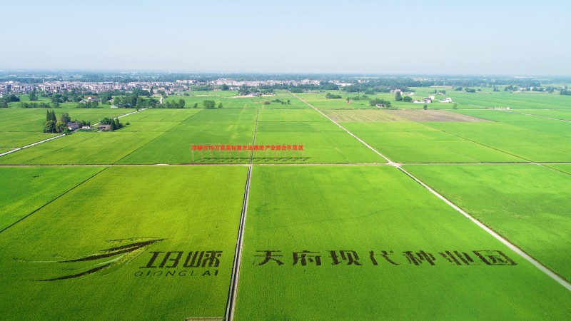 天府現代種業園航拍圖。