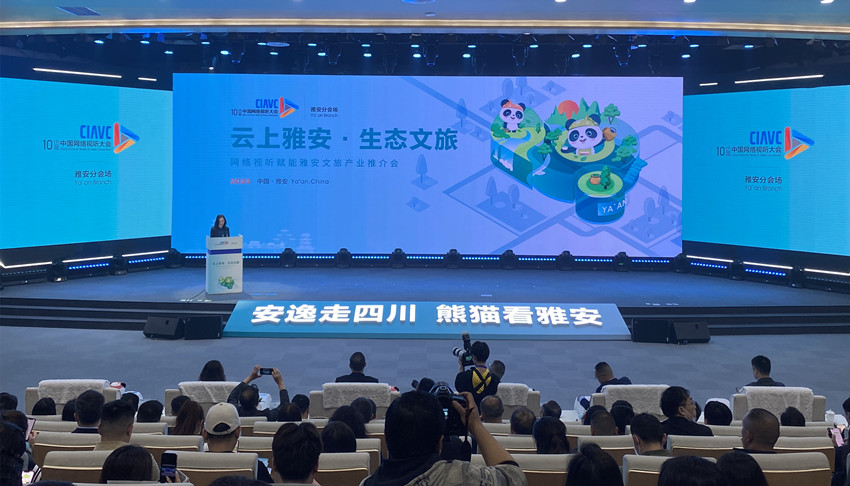 推介會現場。人民網記者 李平攝