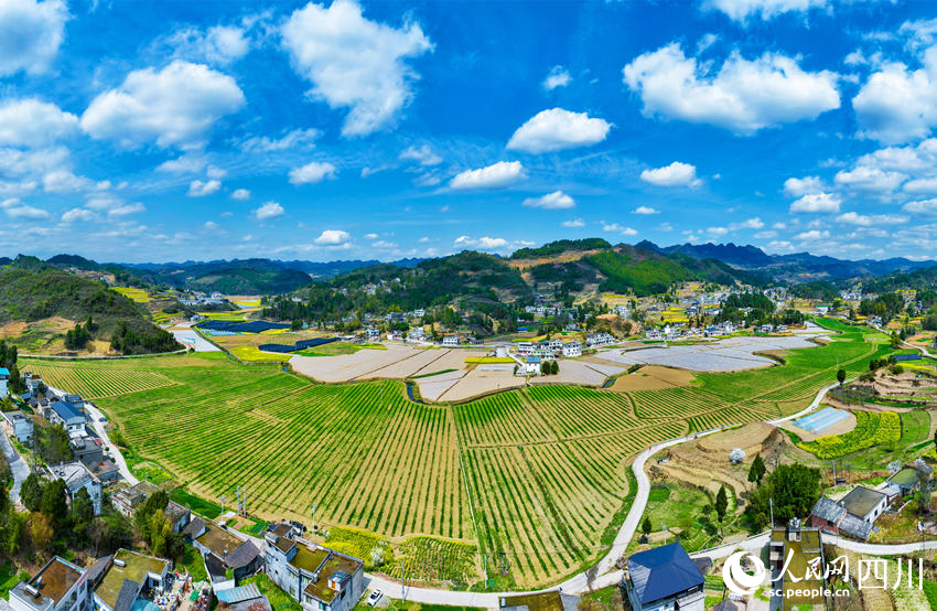 萬象“耕”新。李驍攝