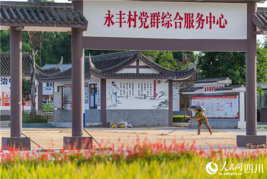 黨建引領實干才。楊槐攝