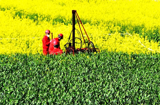 年度國內最大三維物探項目鳴炮。唐遂川攝