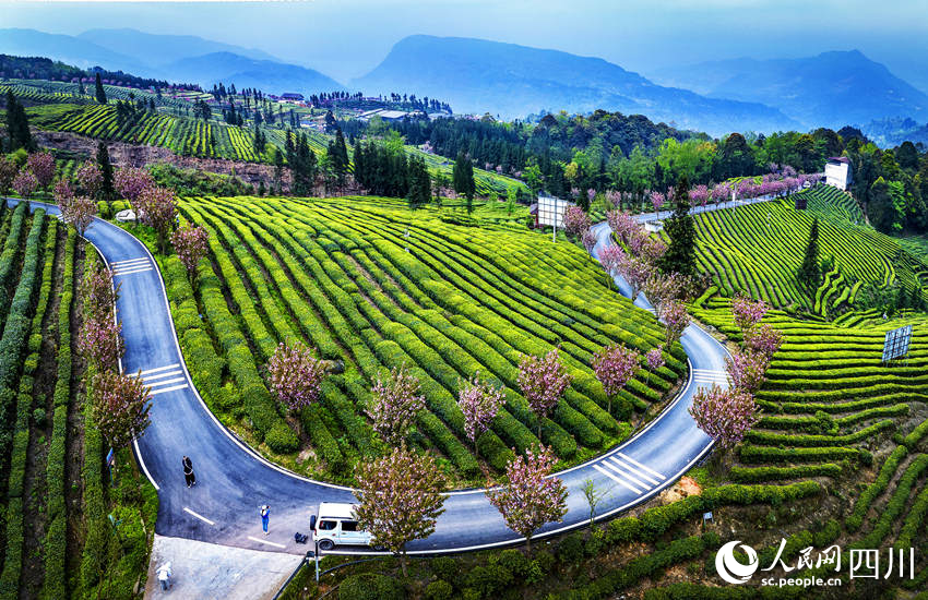 茶山春景圖。何為攝