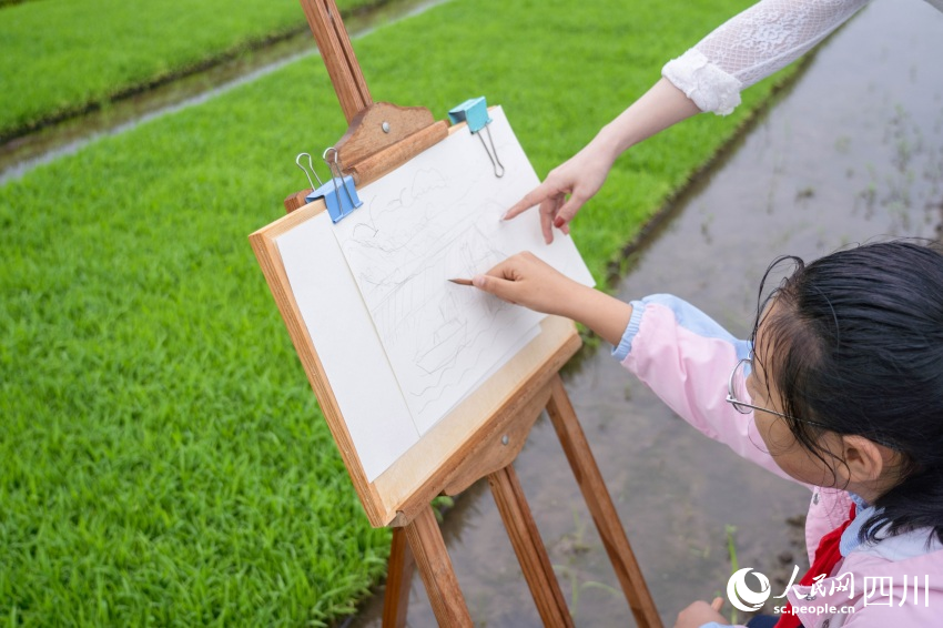 在老師指導下，學生們在秧田中寫生。翁光建攝