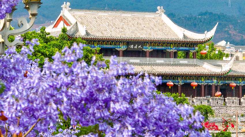 花與景色交相輝映。西昌市委宣傳部供圖