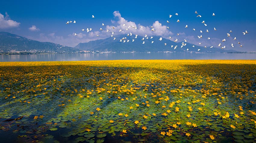 邛海。西昌市委宣傳部供圖