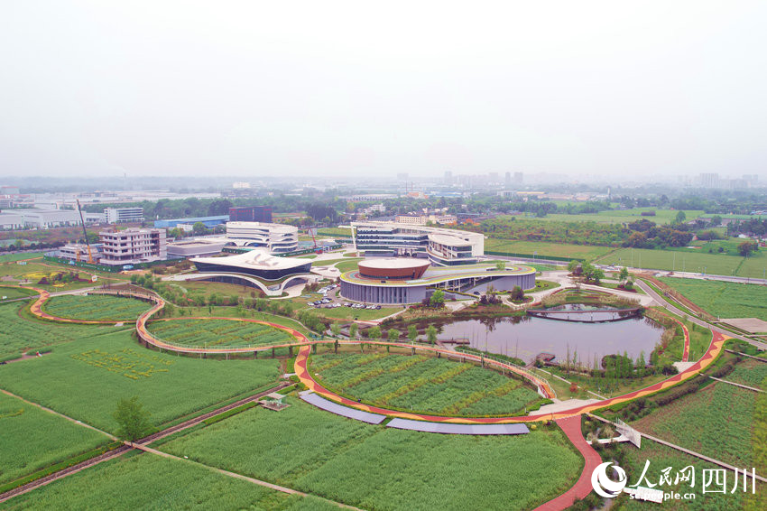 建設中的邛崍市天府現代種業園。人民網 趙祖樂攝