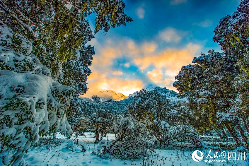 九龍冬季風光。高秀清攝