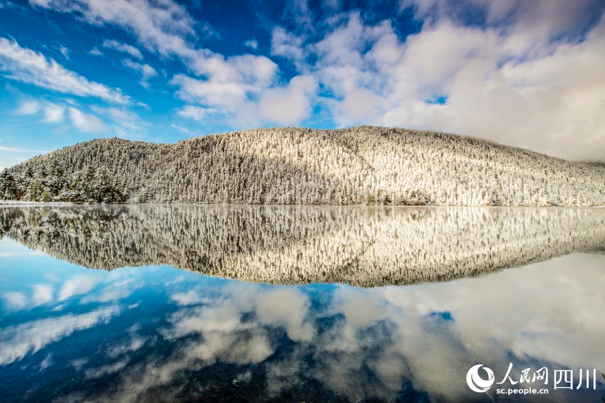 九龍伍須海冬景。高秀清攝
