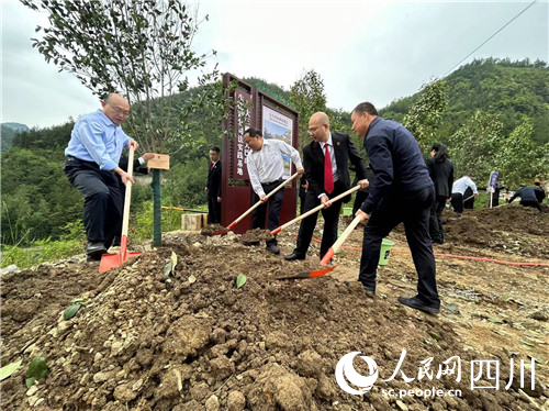 補植復綠現場。人民網記者李平攝