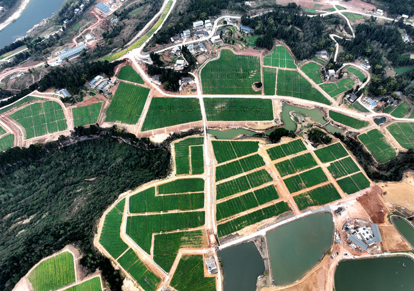 航拍四川省通江縣廣納鎮構花坪村改造后的高標準農田。通江縣委宣傳部供圖