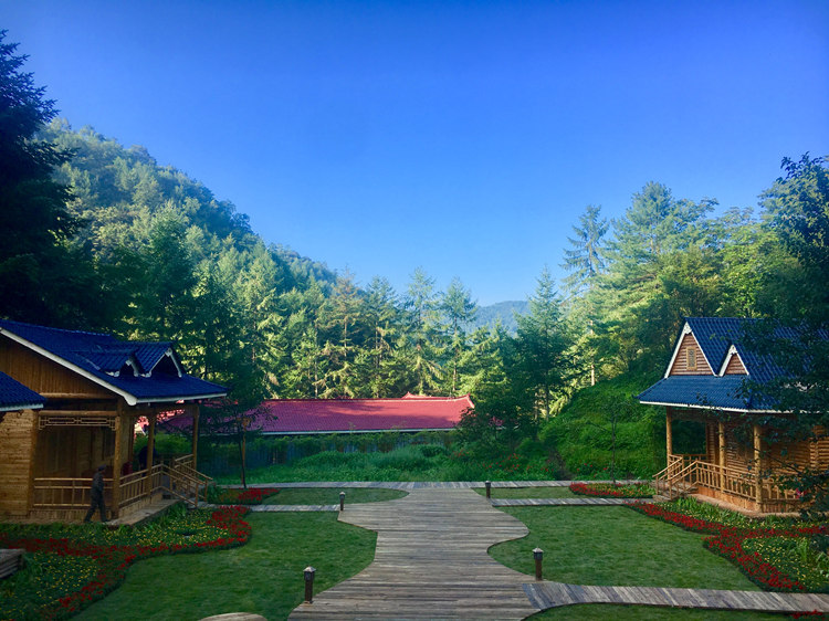 林家壩子森林木屋。朝天區委宣傳部供圖