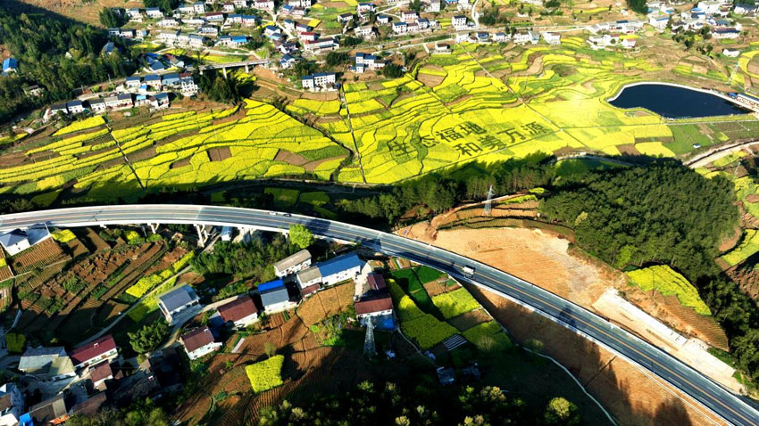 萬八快速與萬源農旅產業相融成畫。張天明攝