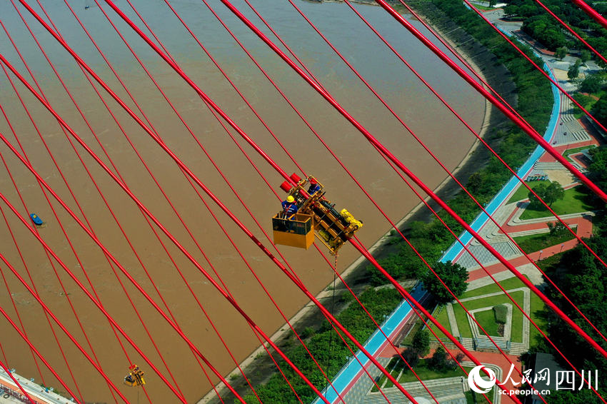 工人避開高溫時段調試大橋斜拉索。廖勝春攝