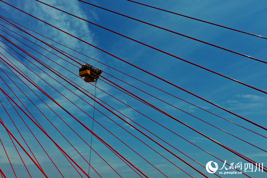 工人避開高溫時段調試大橋斜拉索。廖勝春攝