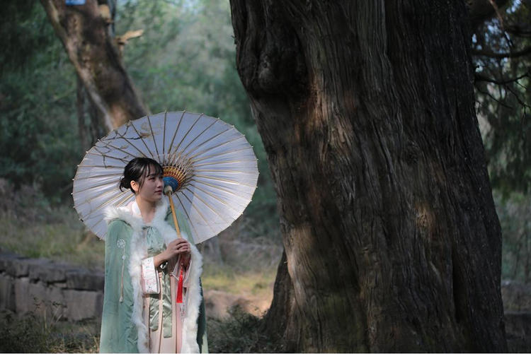 游客在翠云廊里打卡。劍閣縣委宣傳部供圖