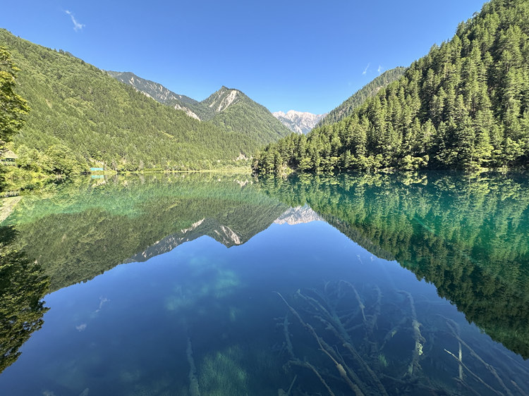 九寨溝自然保護區一角。阿壩州委宣傳部供圖