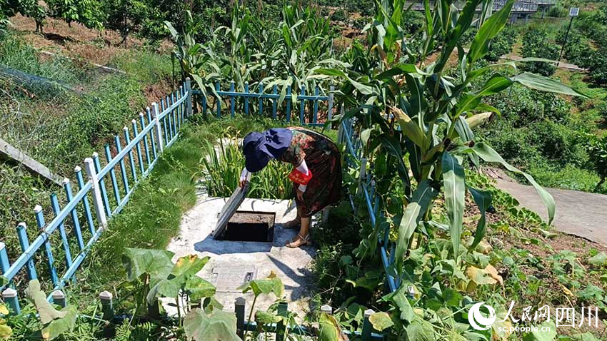 廁污巡查員檢查村上的無害化衛生廁所化糞池運行情況，吳舒婷攝