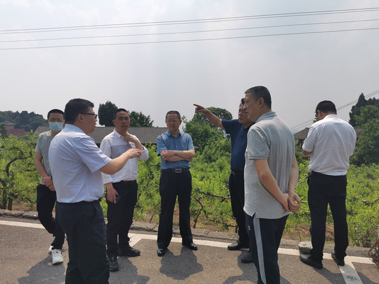 人大代表深入基層開展鄉村振興立法調研。阿壩州委宣傳部供圖