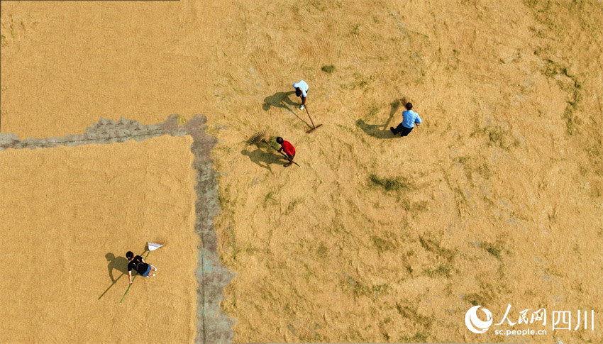 干群一體豐收景。潘建勇攝