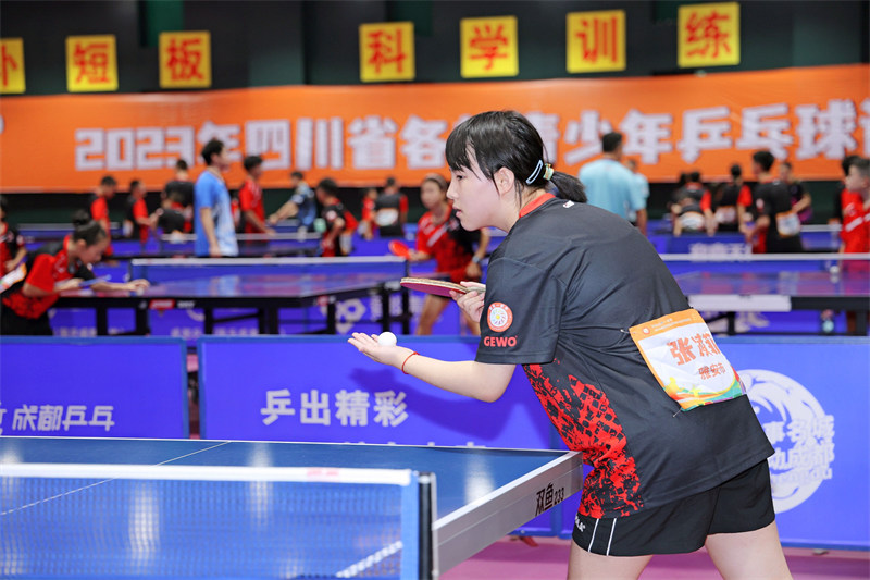 來自于全省11個市（州）名各族青少年代表正在賽場比拼。成都市民宗局供圖