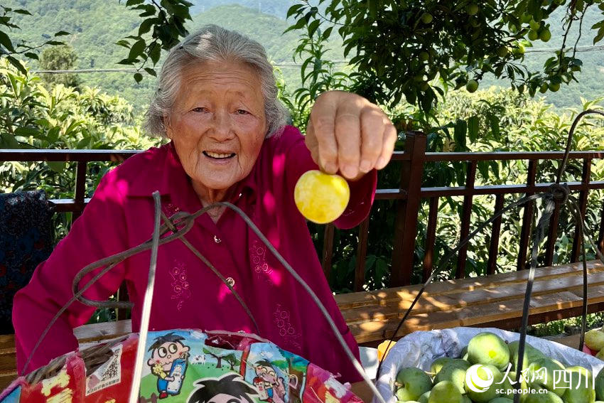 石椅村村民向游客展示成熟的李子。人民網記者 朱虹攝