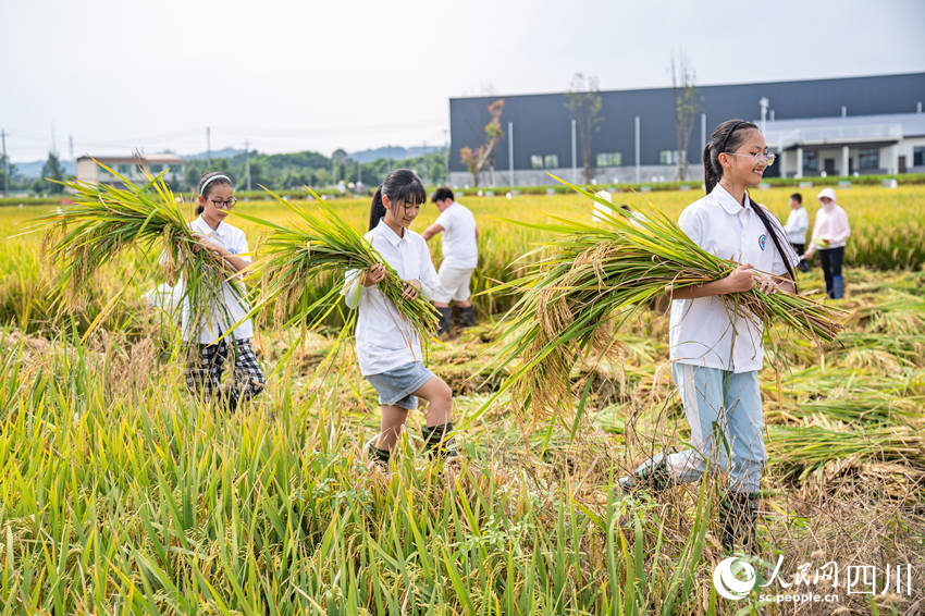開學第一課走進“田間課堂”。翁光建攝