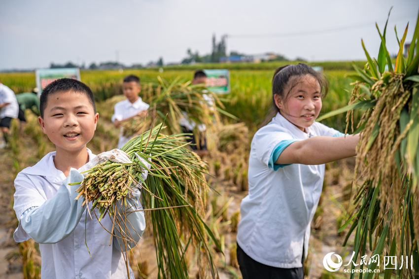 開學第一課走進“田間課堂”。翁光建攝