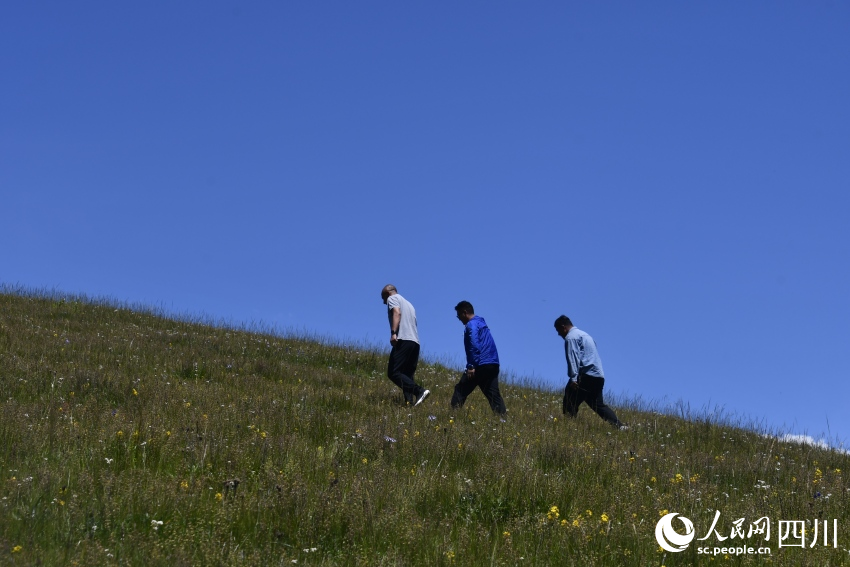 趙杰和同事在莊里村草場查看牧草長勢。人民網記者 王洪江攝