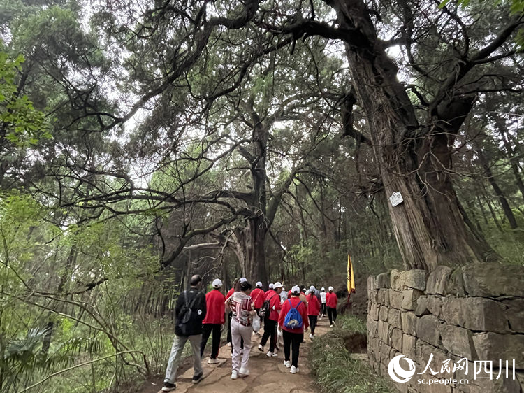 徒步愛好者在古蜀道上徒步。高寒攝