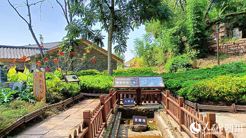 海龍村沼氣池舊址。實習生 吳舒婷攝