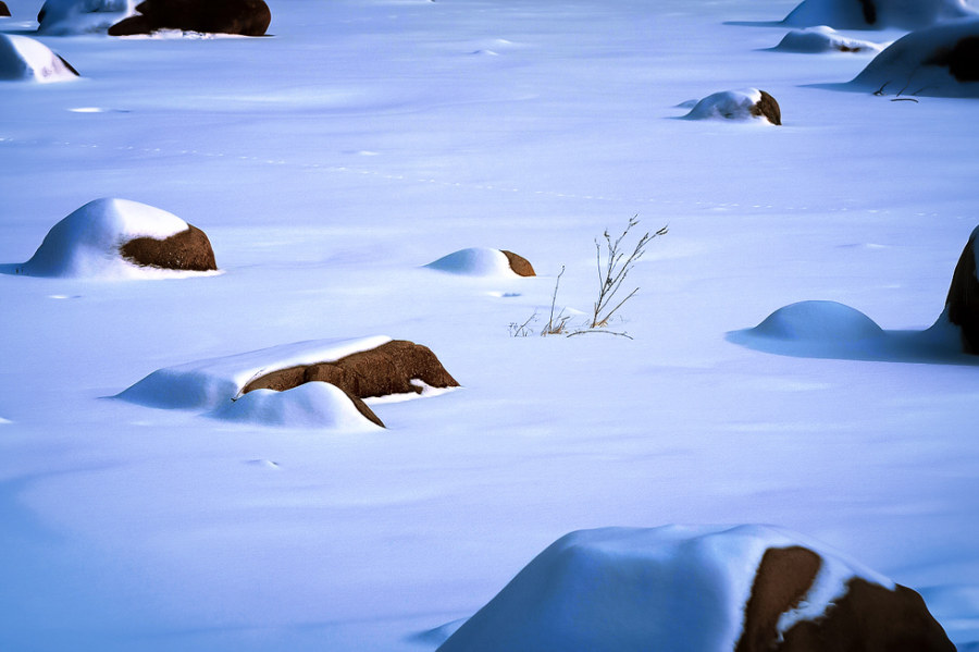 標題標題標題標題標題標題標題標題標題標題標題