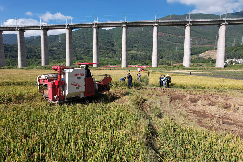 測產現場。德昌縣委宣傳部供圖