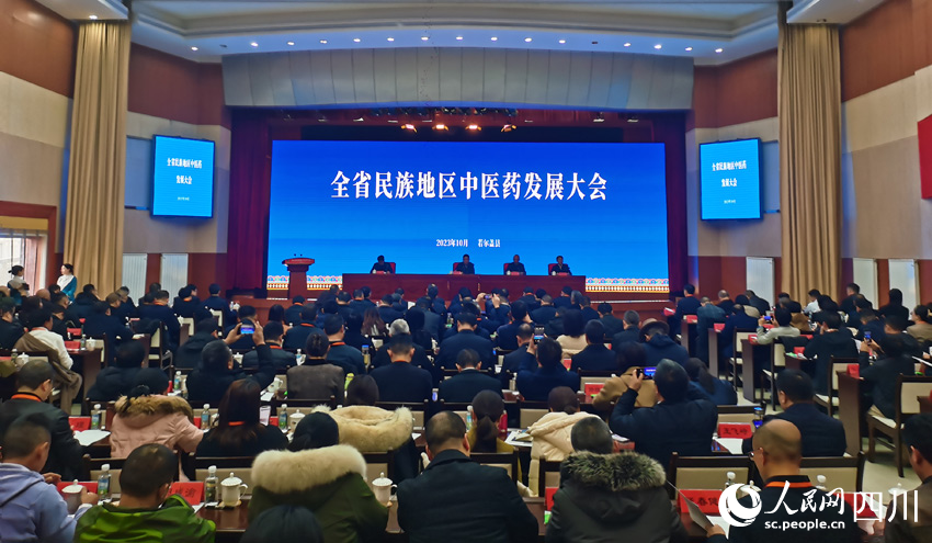 會議現場 人民網記者 劉海天攝