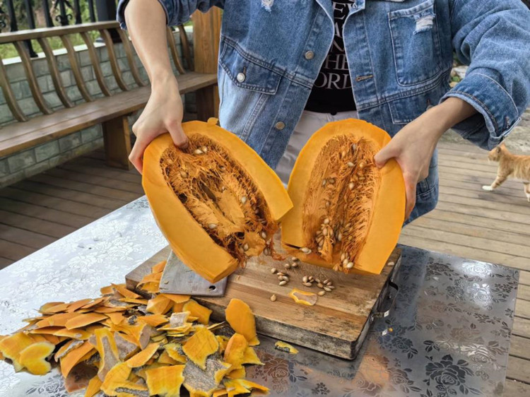 蜜本南瓜個大粉糯。敘州區融媒體中心供圖